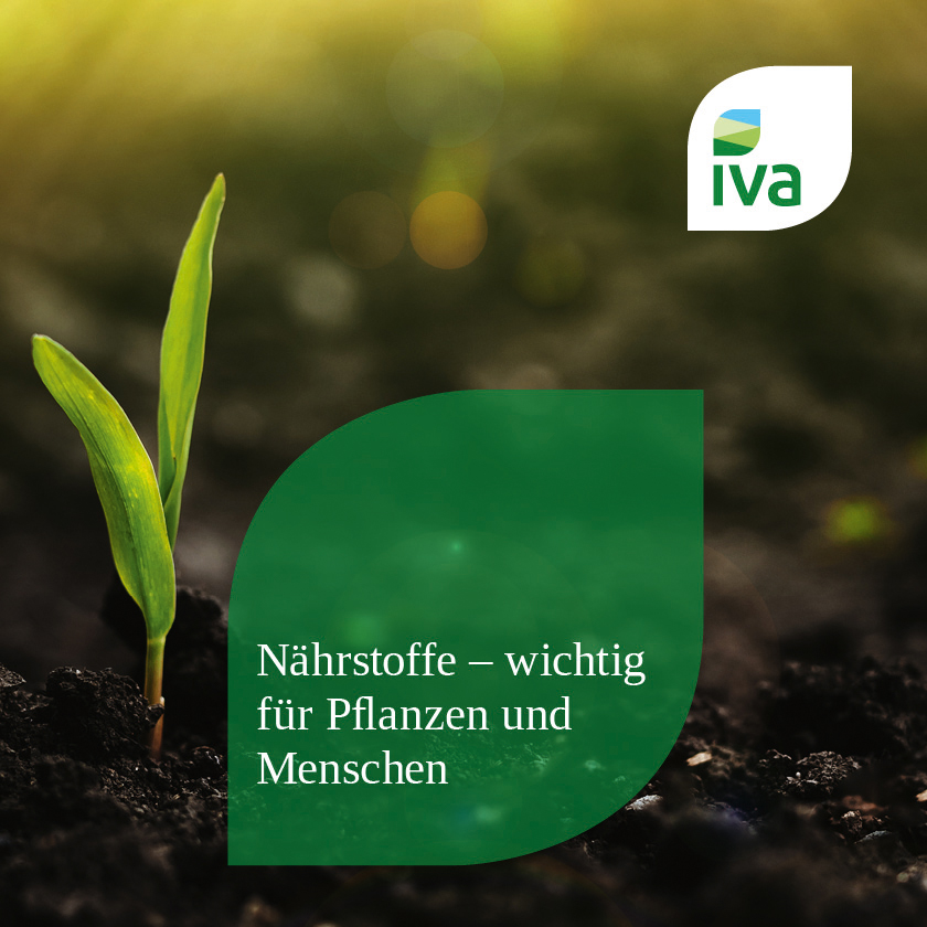 Nährstoffe – wichtig für Pflanzen und Menschen