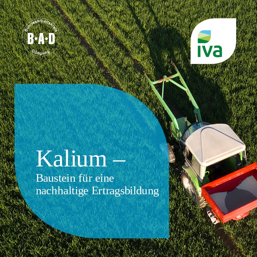 Kalium –  Baustein für eine nachhaltige Ertragsbildung