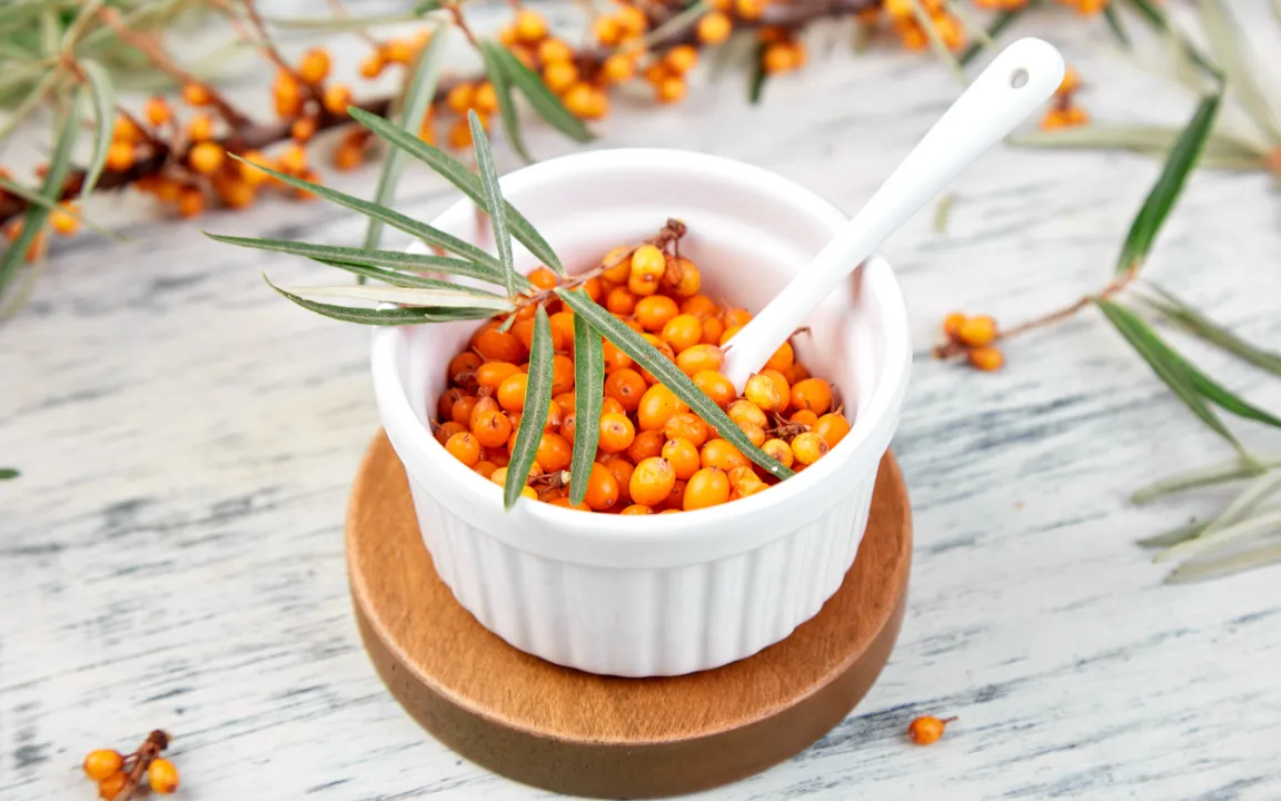 Sanddorn – Zitrone des Nordens