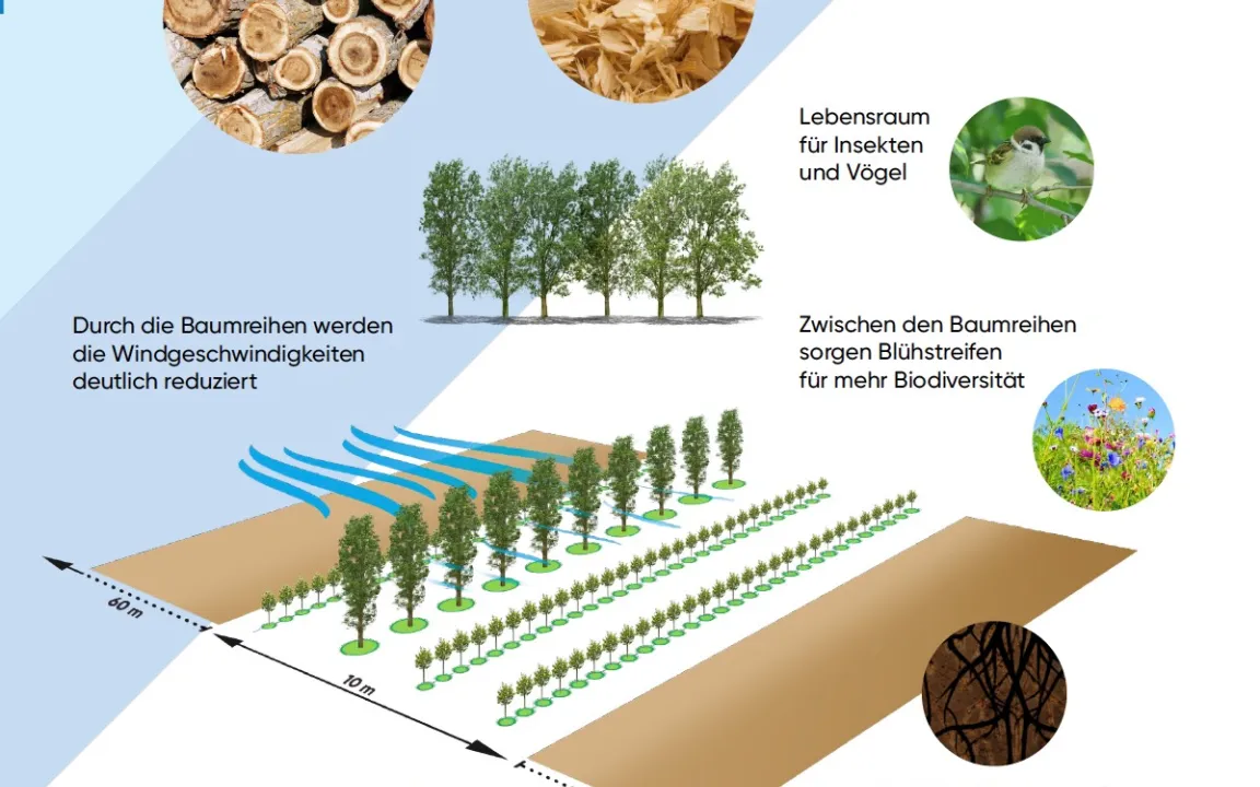 Acker und Wald rücken zusammen