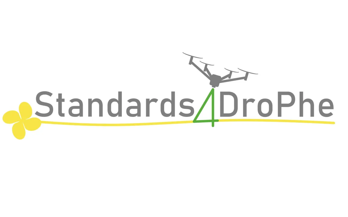 Drohnen in der Rapszüchtung