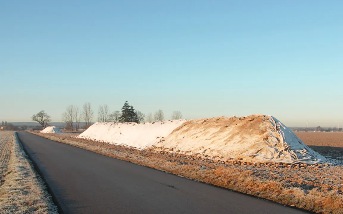Warum Zuckerrüben im Winter am Feldrand liegen