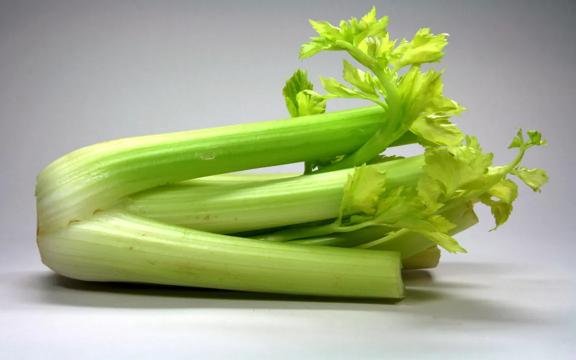 Stangensellerie: stark im Kommen