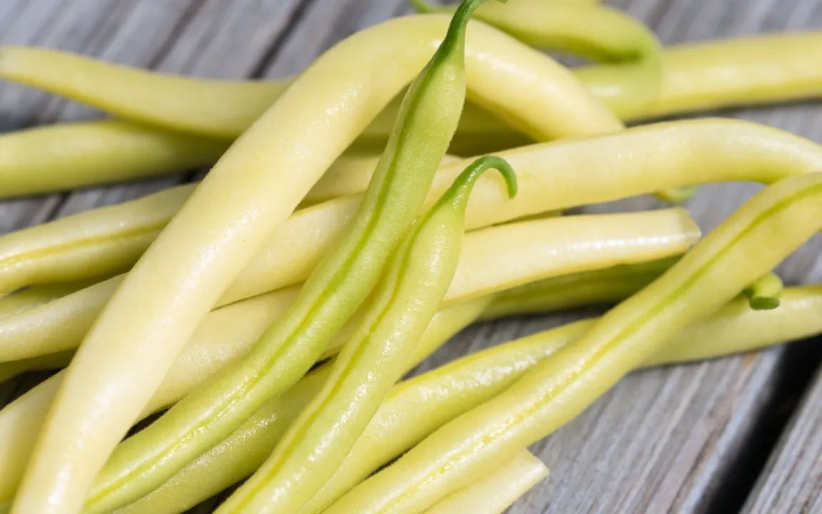 Wachsbohnen – die kleinen gelben Schwestern der grünen Gartenbohnen