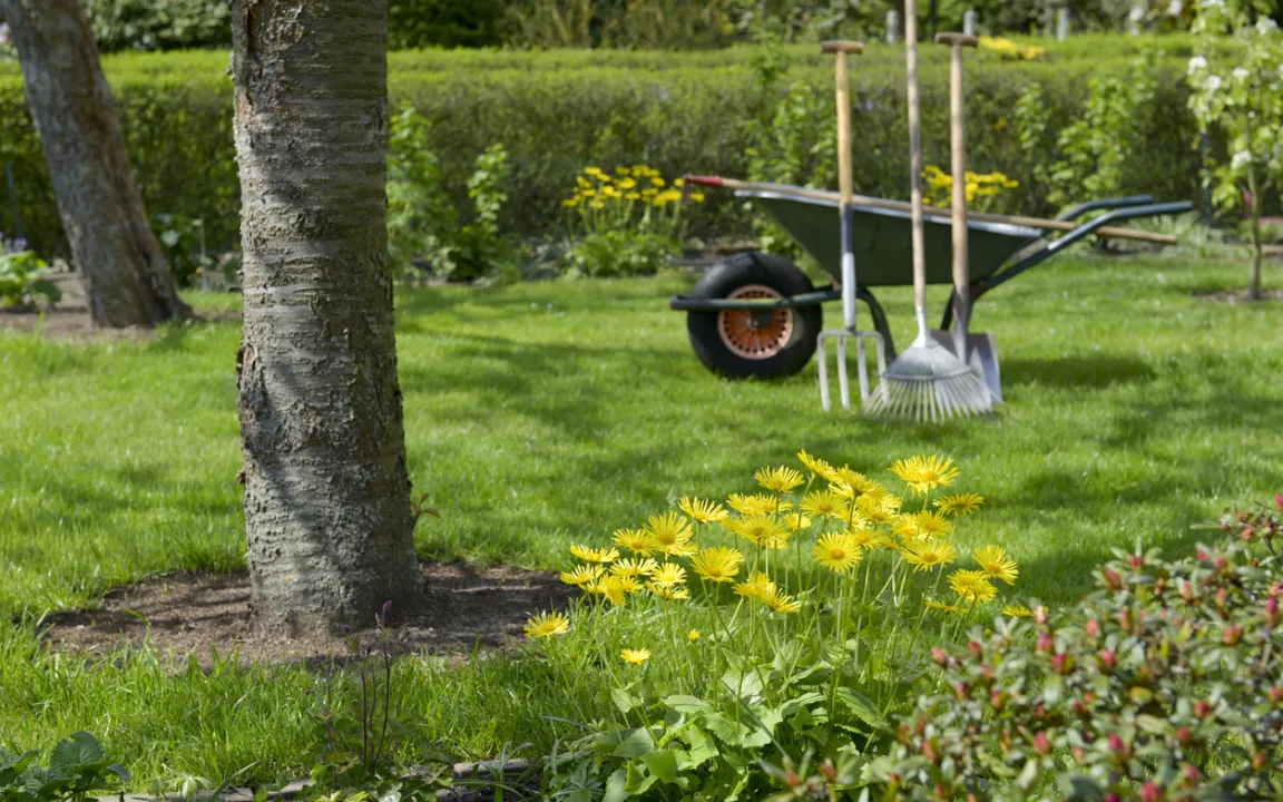 Am 12. Juni ist Tag des Gartens