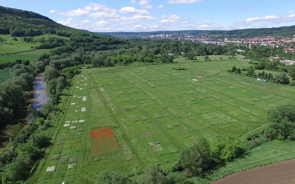 Gemeinsam sind wir stark