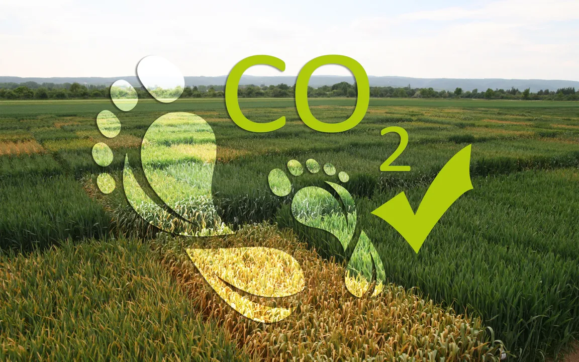 Züchtungsfortschritt bringt Umweltschutz