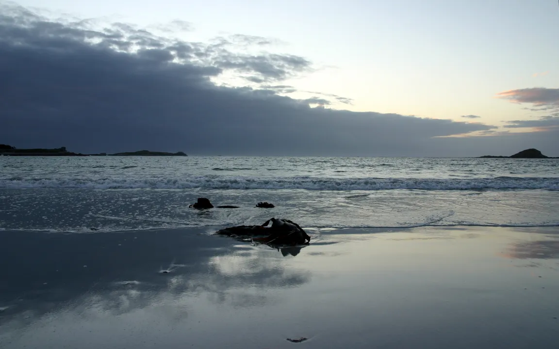 Zutaten für die grüne Chemie