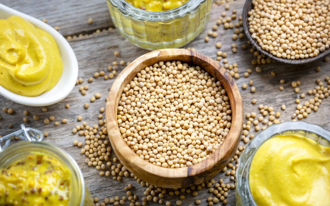 Weißer Senf: Die milde Komponente im mittelscharfen Senf