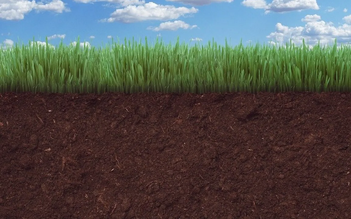 Klimawandel treibt Humusabbau voran