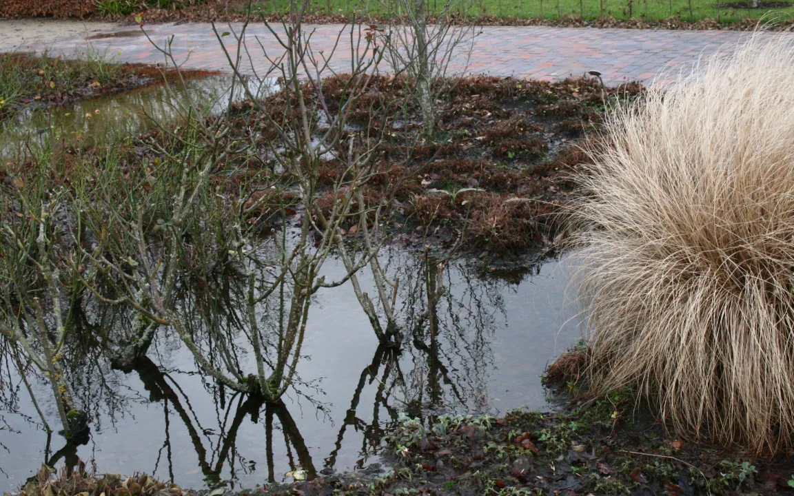 Überschwemmungen – was halten Gartenpflanzen aus?
