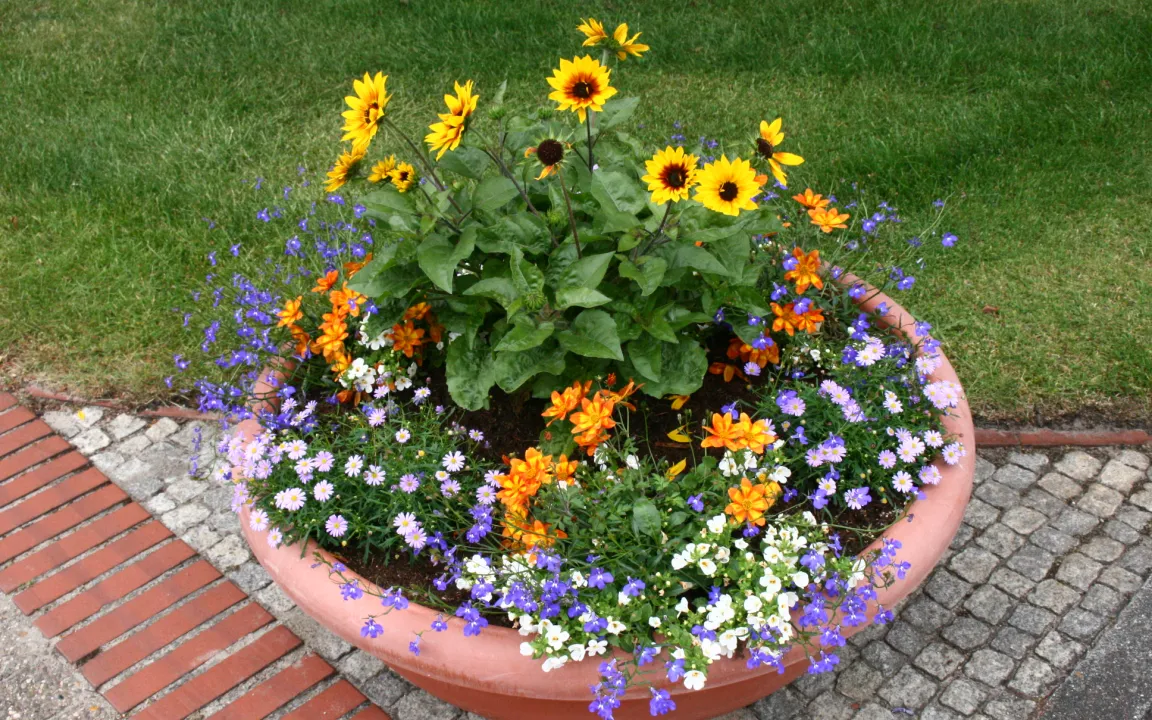 Gebrauchte Blumenerde wiederverwenden?