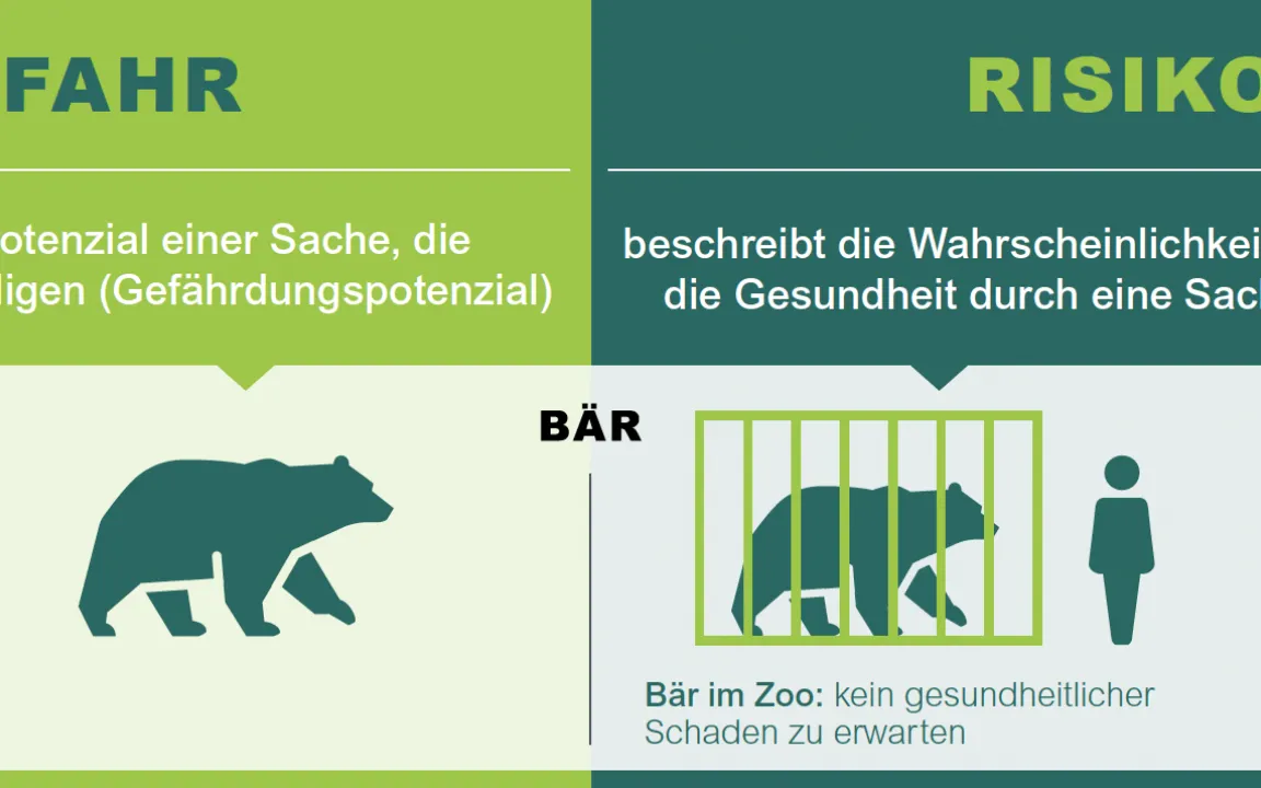 Warum ein Tiger eine Gefahr, aber nicht unbedingt ein Risiko ist