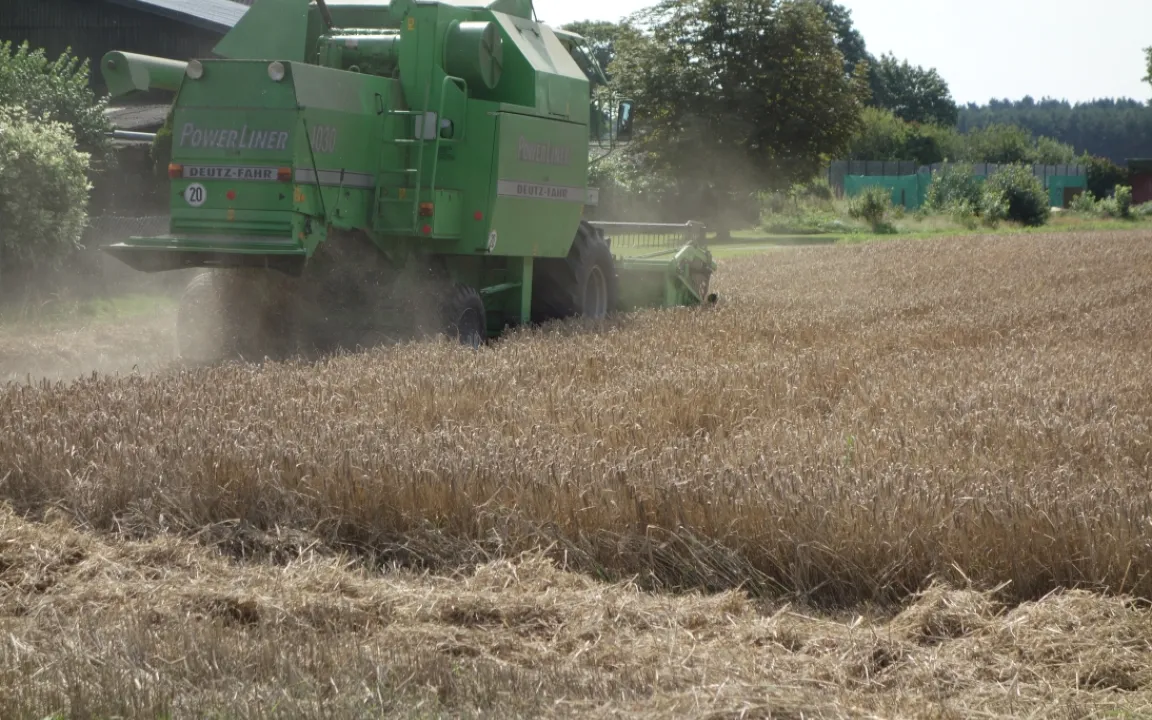 Konsequente Feldhygiene vermindert Krankheitsdruck 