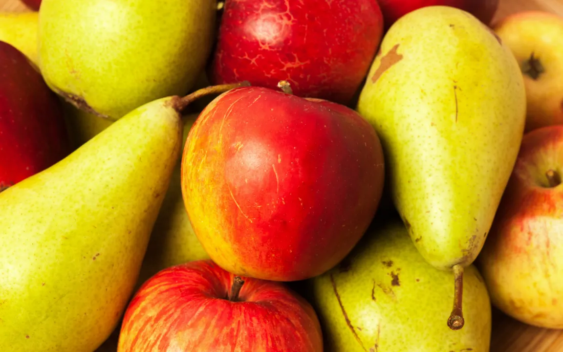 Buchtipp: 600 alte Apfel- und Birnensorten neu beschrieben