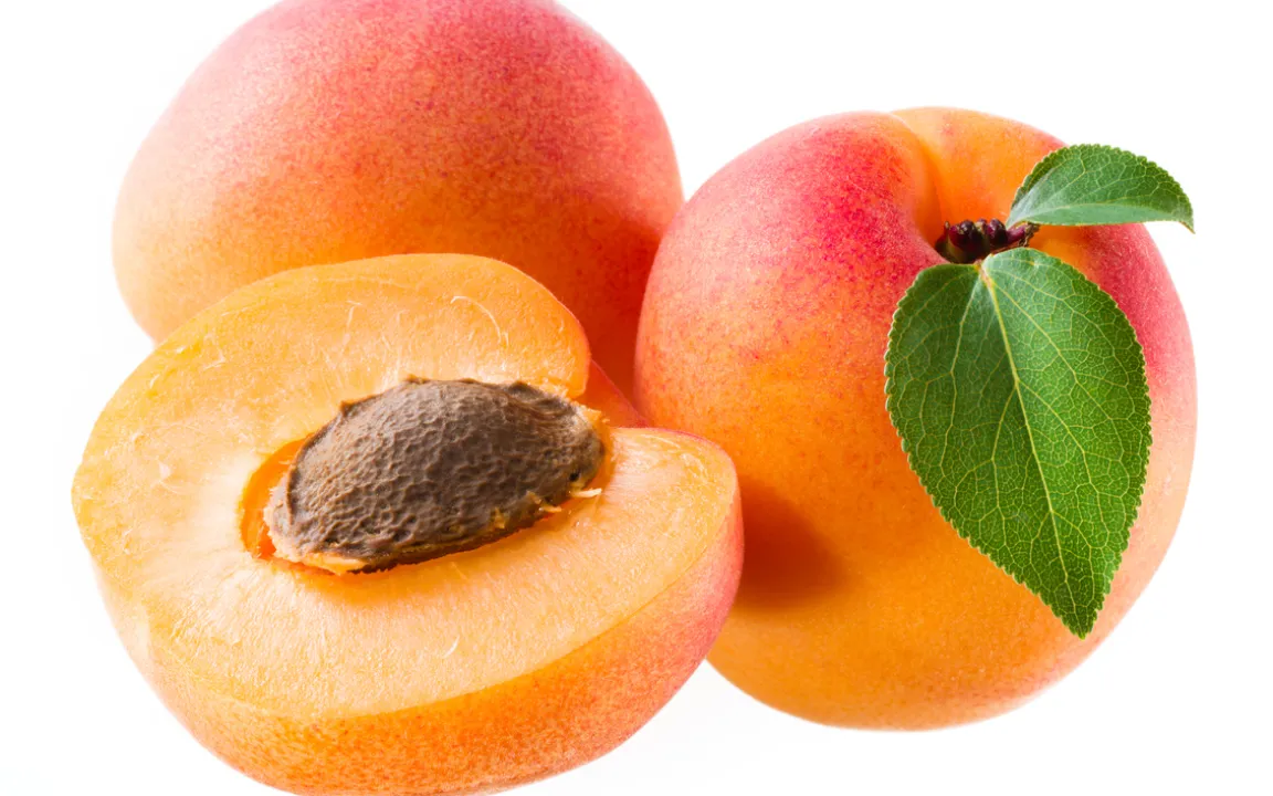 Aprikose: Ein kurzes, aber intensives Vergnügen