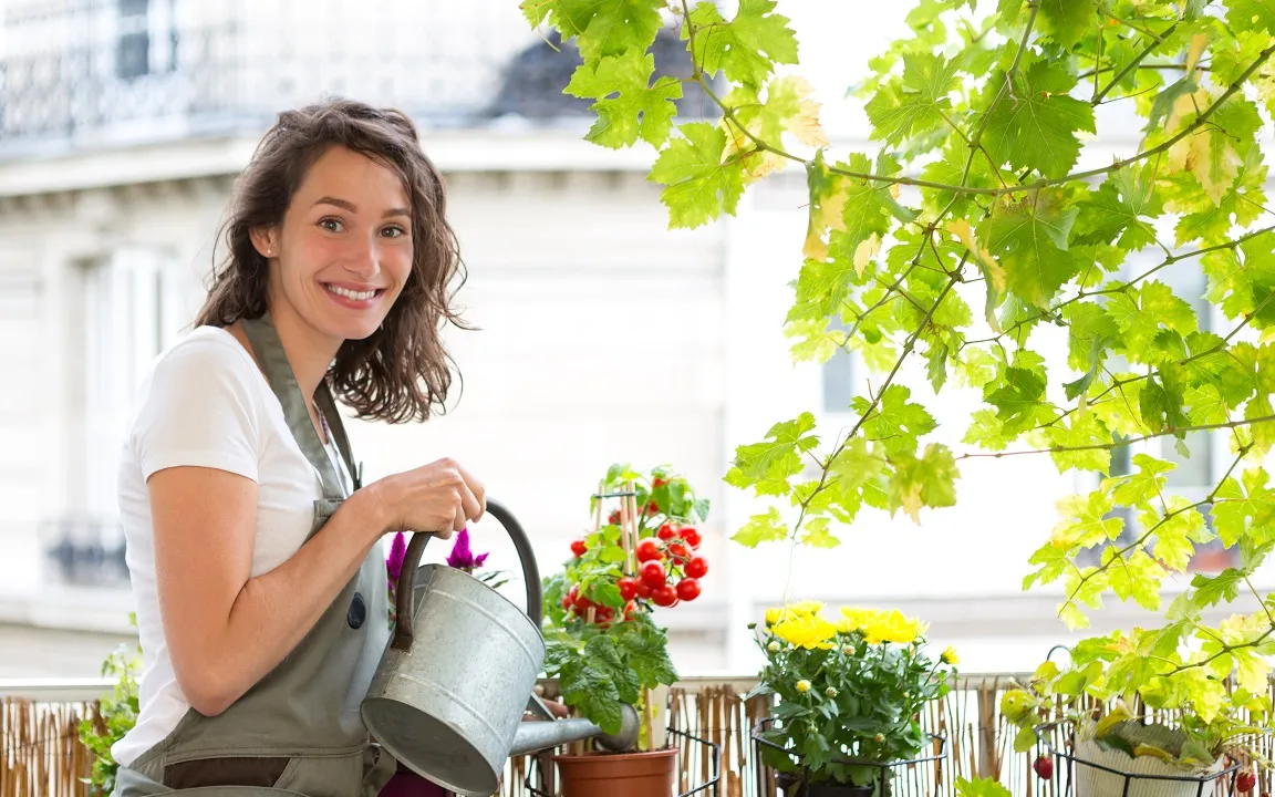Ein Gemüsegarten auf dem Balkon