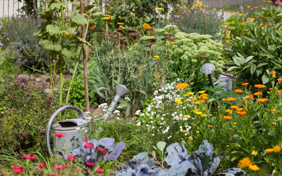 Serie: Querbeet durch Haus und Garten