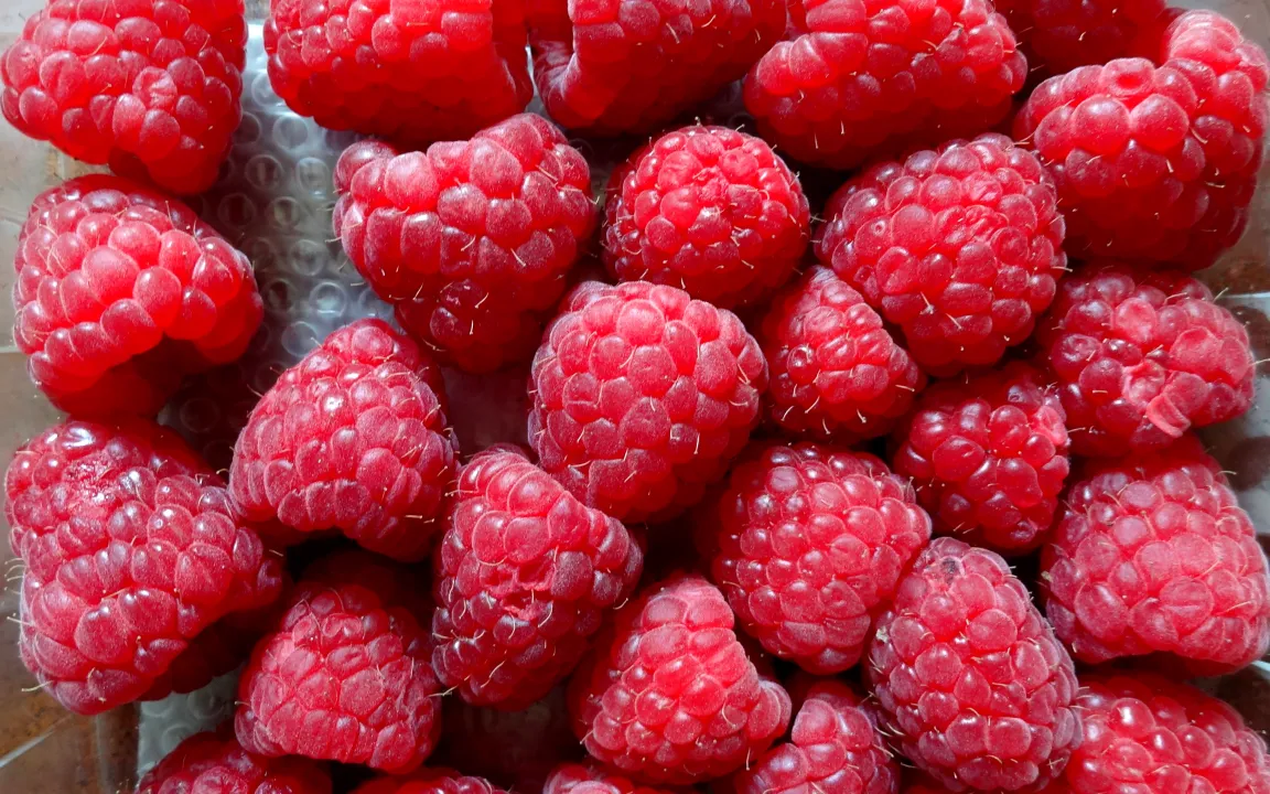 An Himbeeren sterben die Ruten
