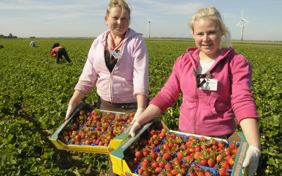 Schüler, Freizeit – Ferienjob: Wieso nicht auf dem Bauernhof?