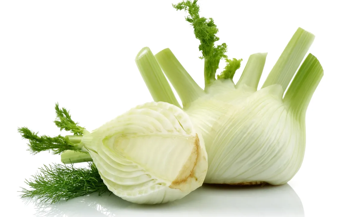 Gemüsefenchel: immer häufiger auf dem Teller