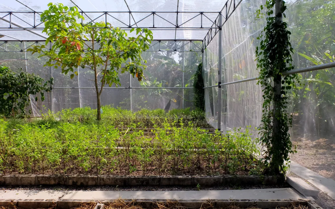 Gleichzeitig bewässern und düngen