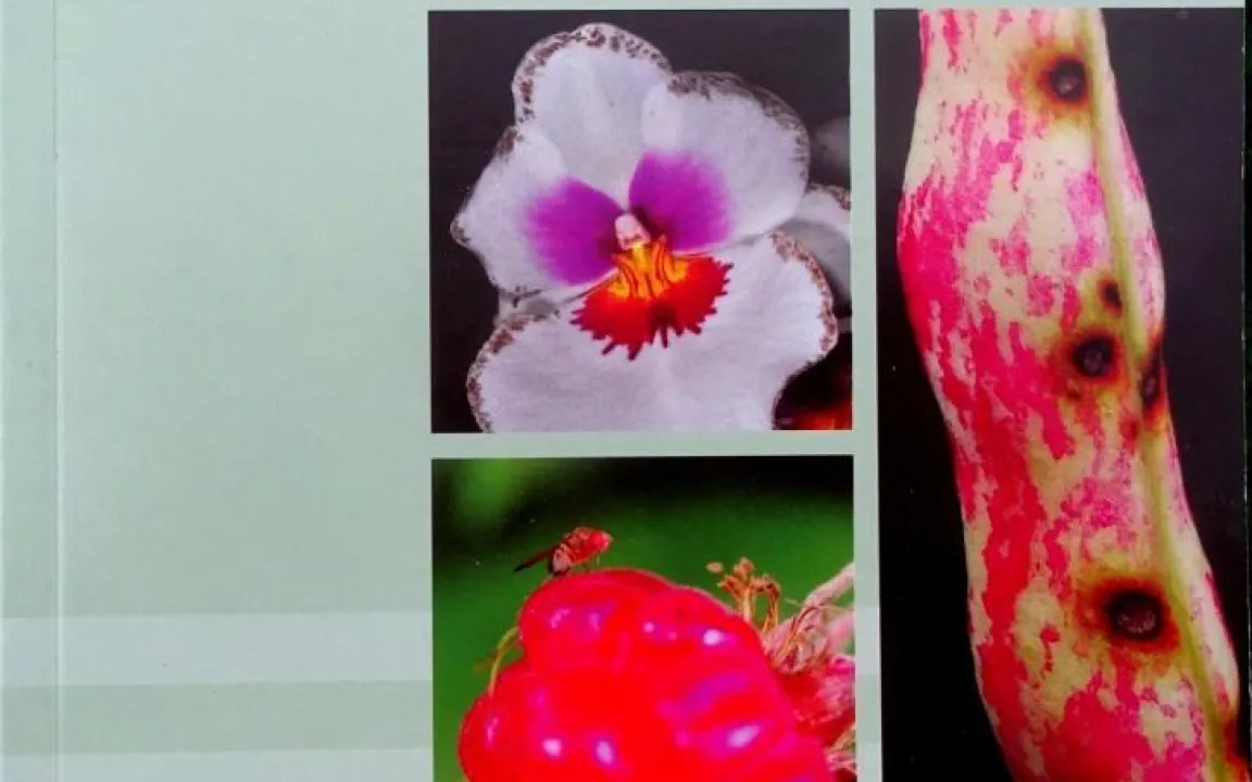 Buchtipp: Pflanzenschutz-Ratgeber Haus- und Kleingarten