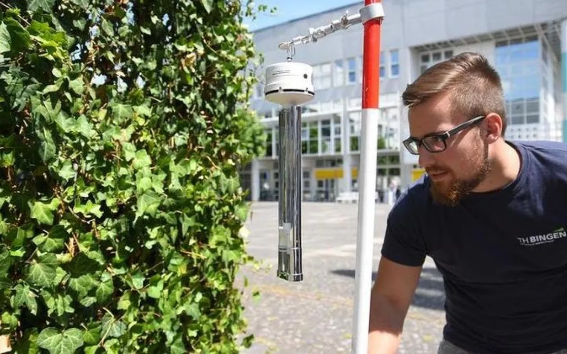 Die senkrechten Gärten von Bingen