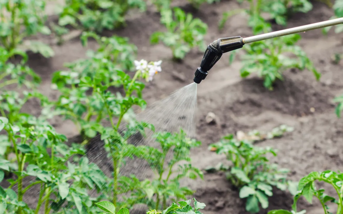 Ruckzuck umprogrammiert