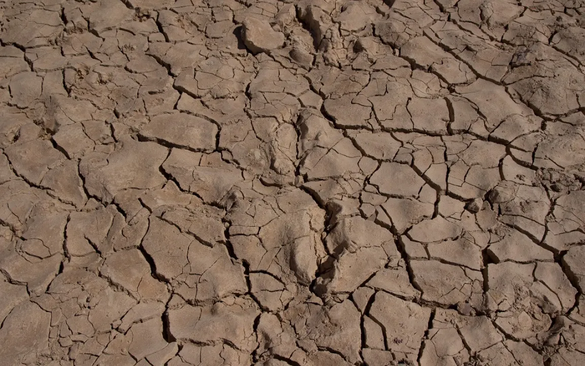 Klimaextreme gefährden die Ertragssicherheit