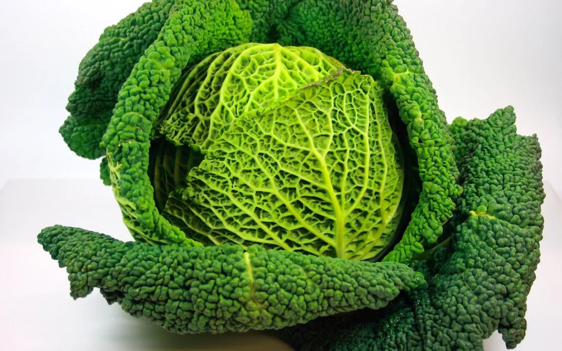 Wirsing: Supergemüse für den Winter