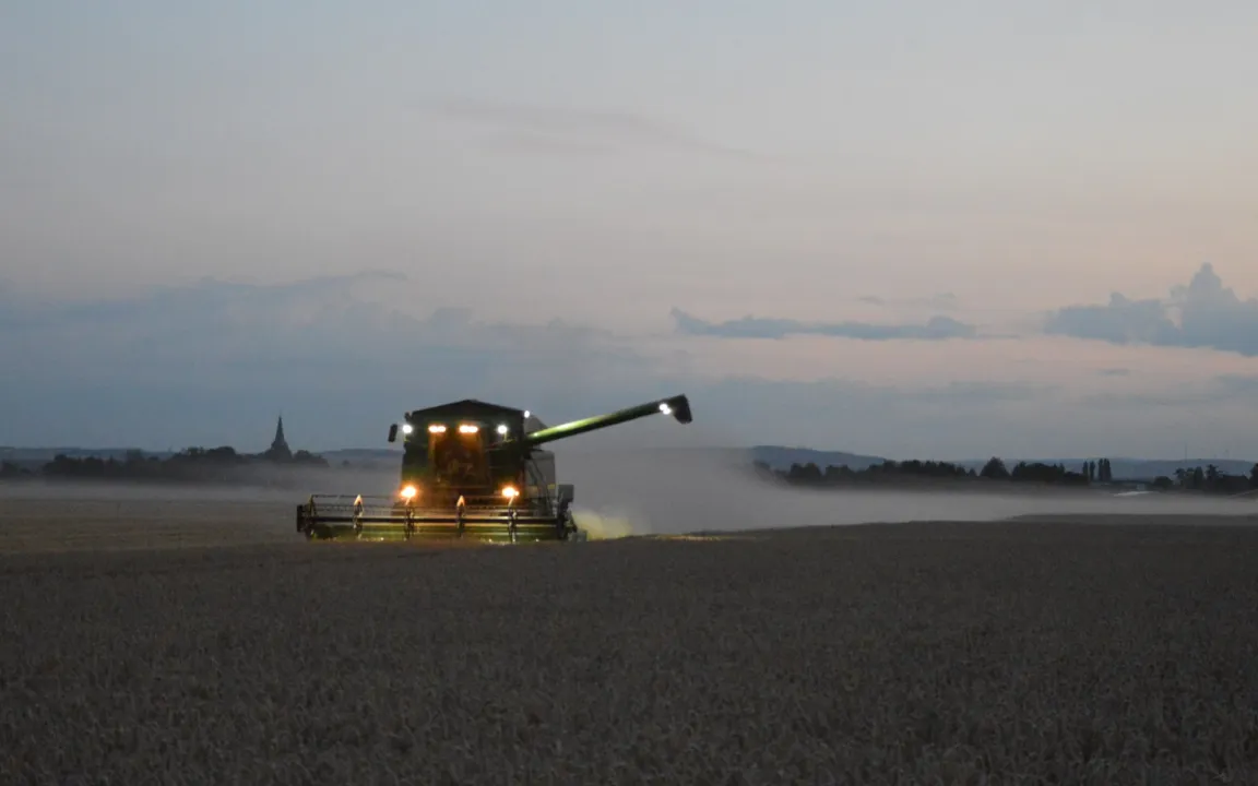 Getreideernte 2018: Zwischen Durchschnitt und Desaster