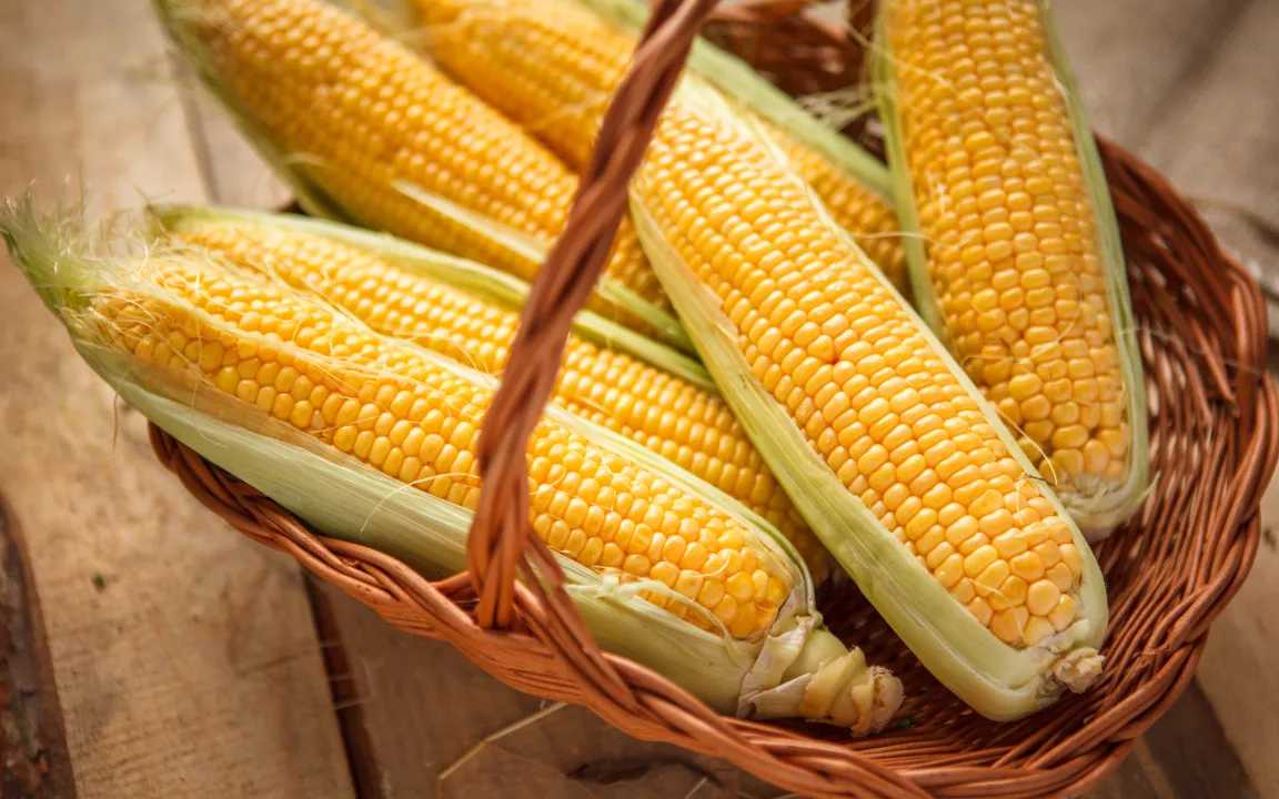 Popcorn ist nur die Spitze des „Maisbergs“