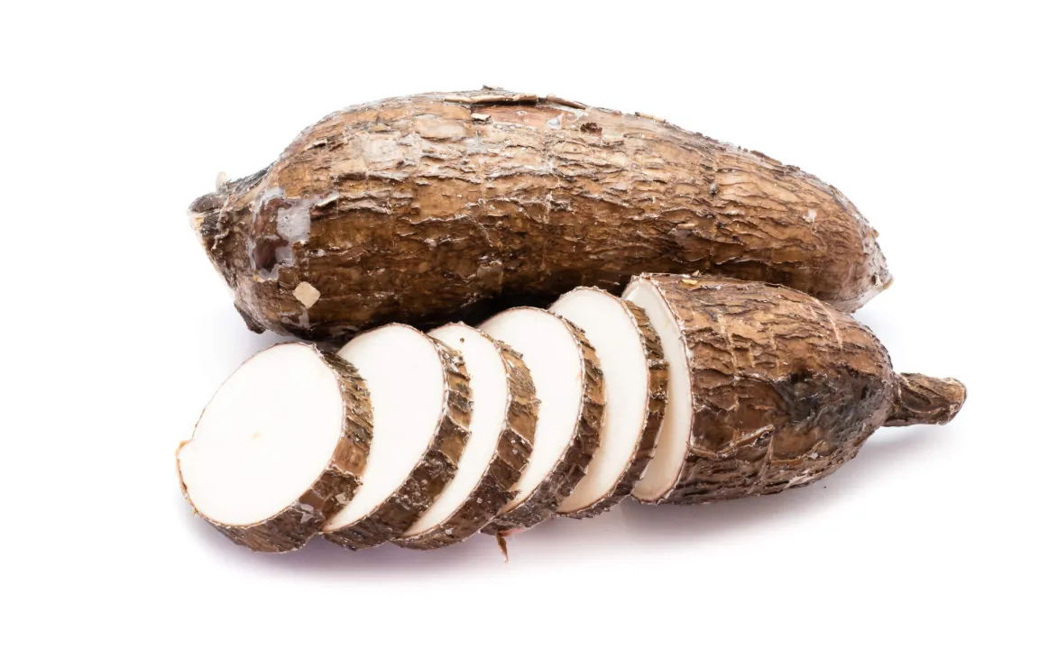 Maniok: Grundnahrungsmittel für 1 Milliarde Menschen