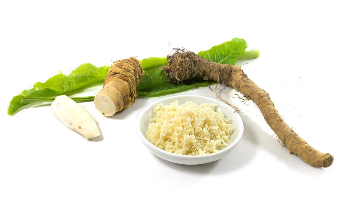 Meerrettich ist "Heilpflanze des Jahres 2021"