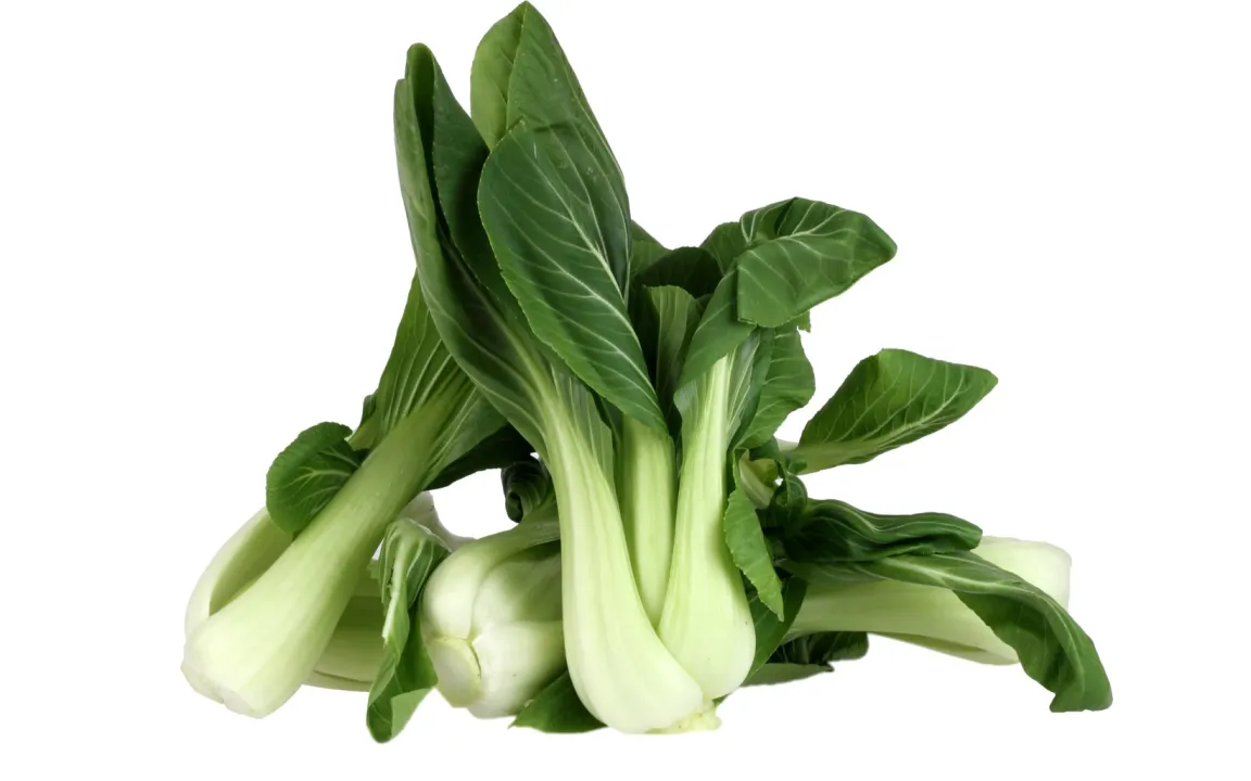 Pak Choi: das klassische Wok-Gemüse
