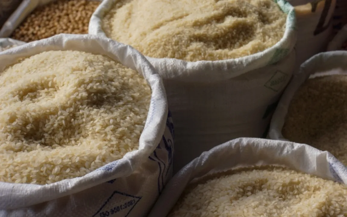 Kultivierungsgeschichte von Reis weiter strittig