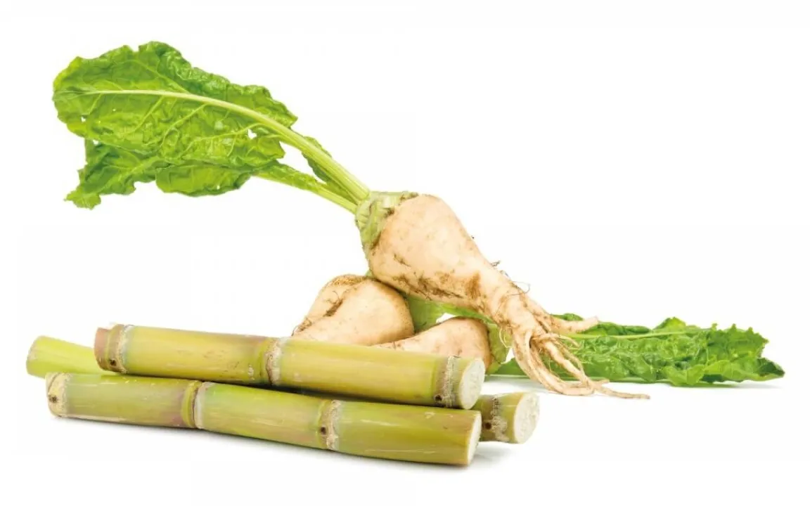 Verdrängt Rohrzucker ab 2017 heimischen Rübenzucker?