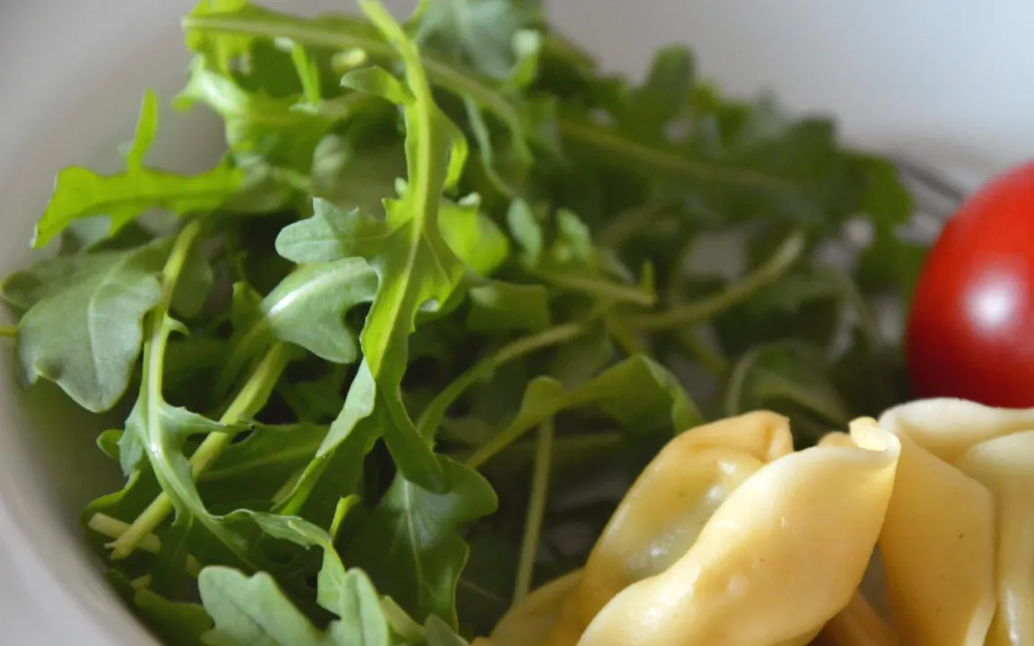 Rucola – mild oder lieber scharf?