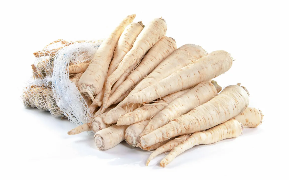 Wintergemüse Petersilienwurzel