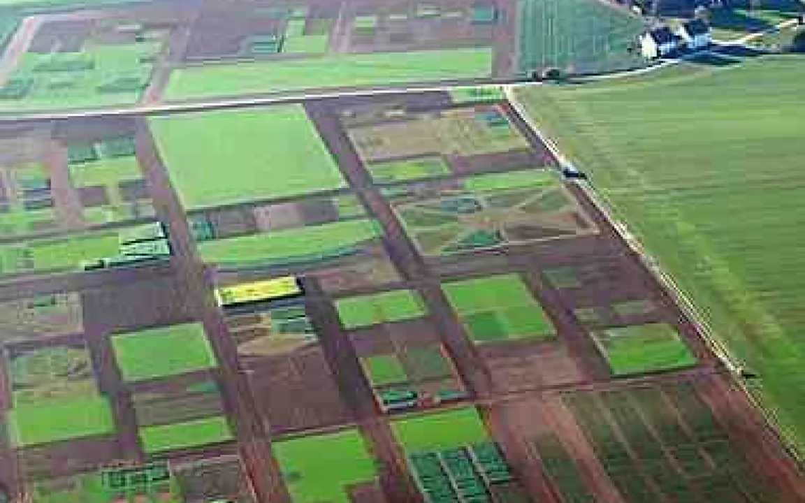 Informationsbörse des modernen PflanzenbausInformationsbörse des modernen Pflanzenbaus