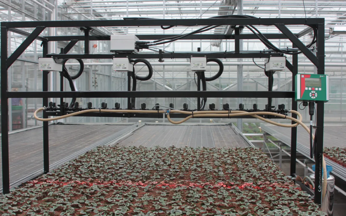 "Gezonde Kas": Pflanzenschutz geht im Gewächshaus neue Wege