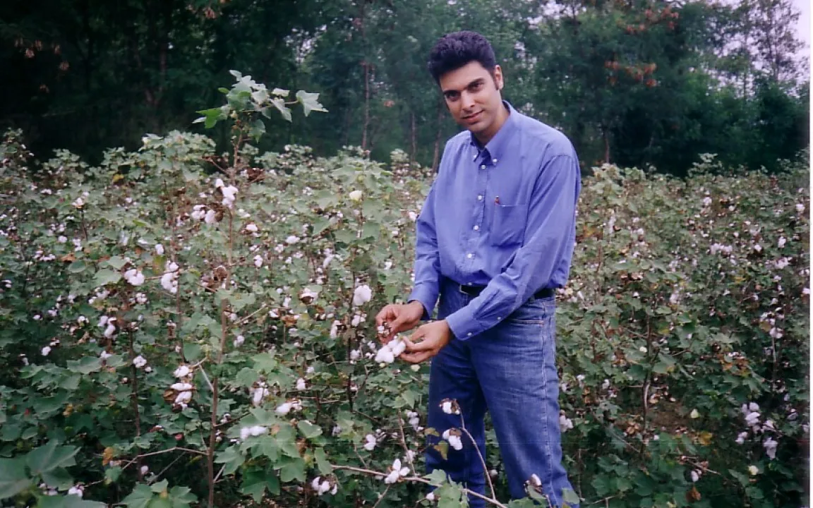 Gentechnik lindert Armut in Indien