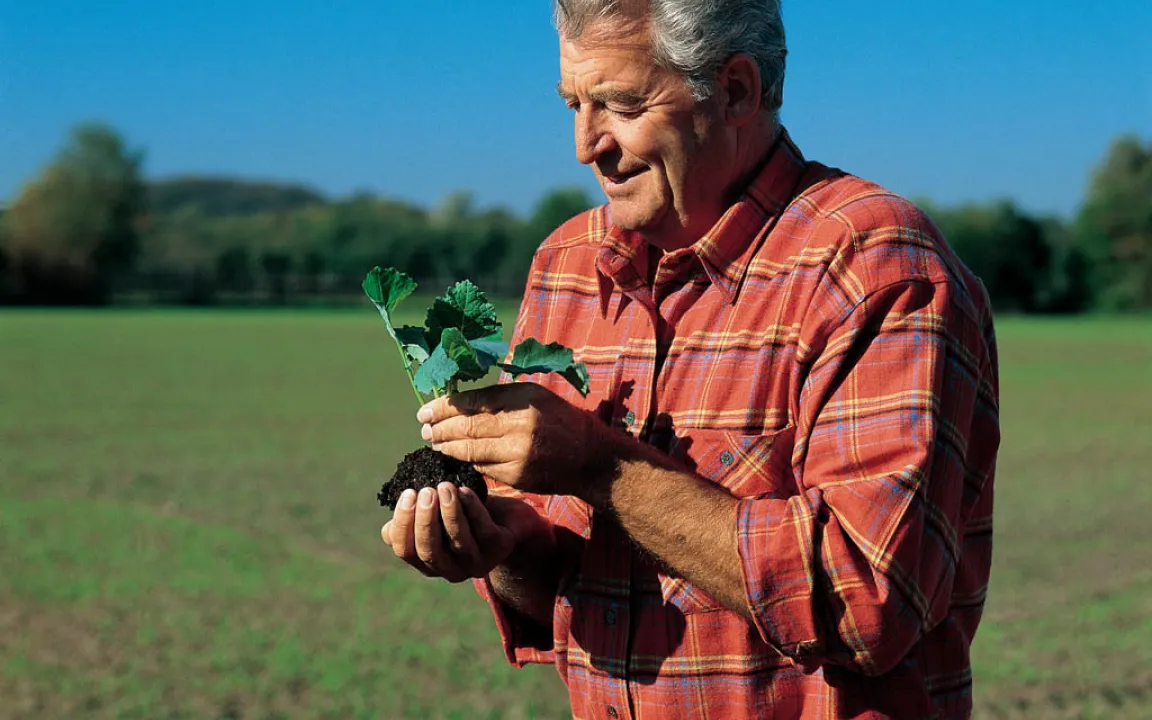 Pflanzenschutz bleibt unverzichtbar