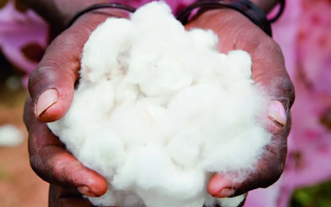 Baumwolle: mit Rückenwind durch FAO? 