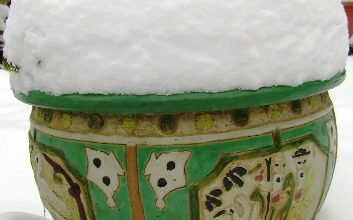 Pflanzen im Garten vor Frost schützen