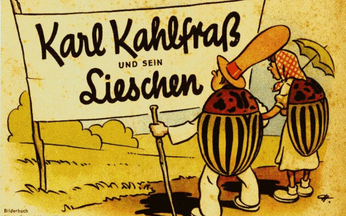 Kartoffelkäfer – ein Schädling mit Geschichte
