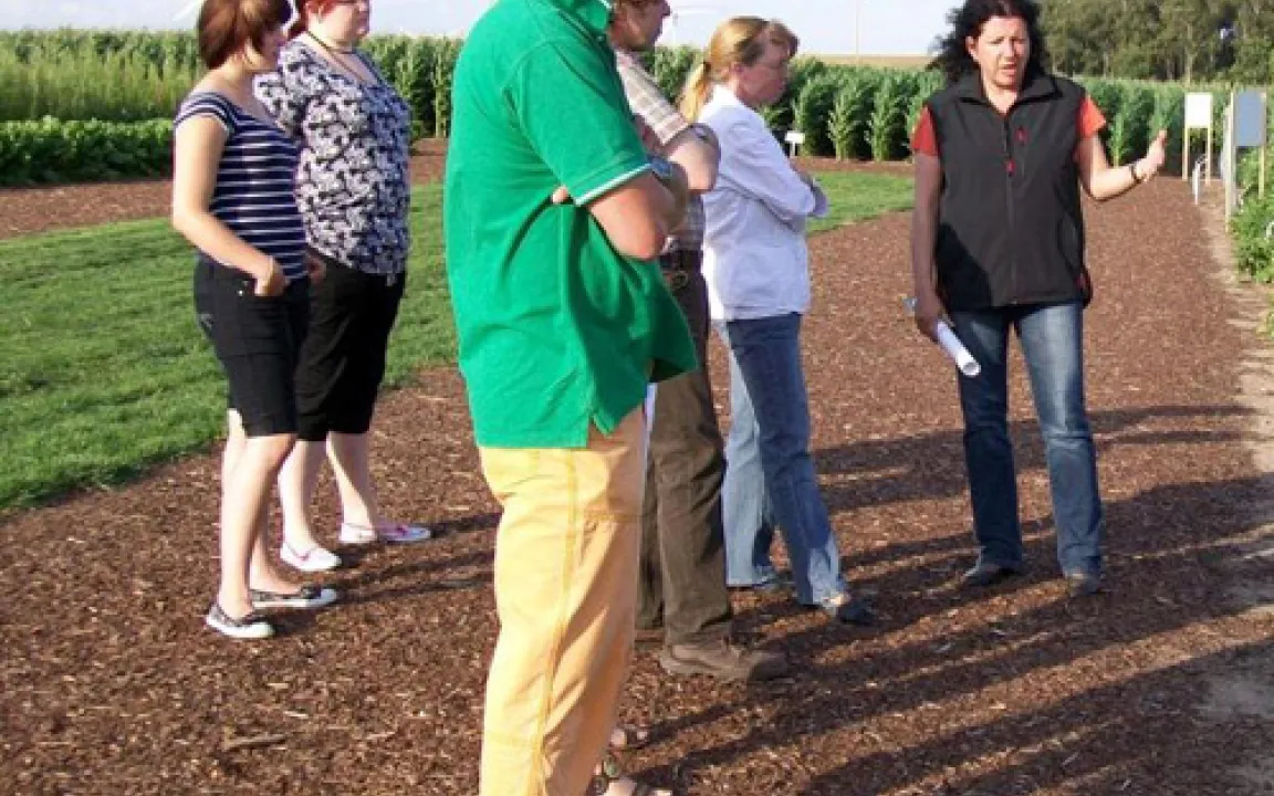 Pflanzen, die sich selbst schützen 