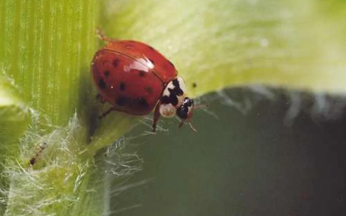 Winterquartier gesucht