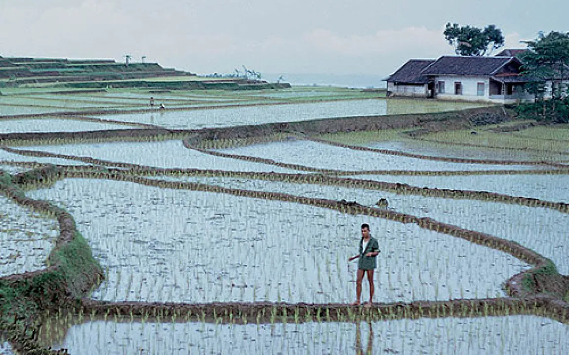 Kann die Landwirtschaft künftig genug Nahrungsmittel produzieren?